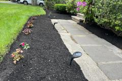 IMG-20251009-WA0019
