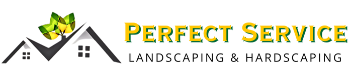 logo perfect service (1)